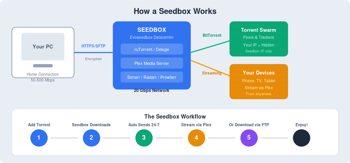 Best Seedbox 2026: Top 10 Providers Reviewed & Compared 2 How a seedbox works - network diagram showing download, seeding, and Plex streaming workflow