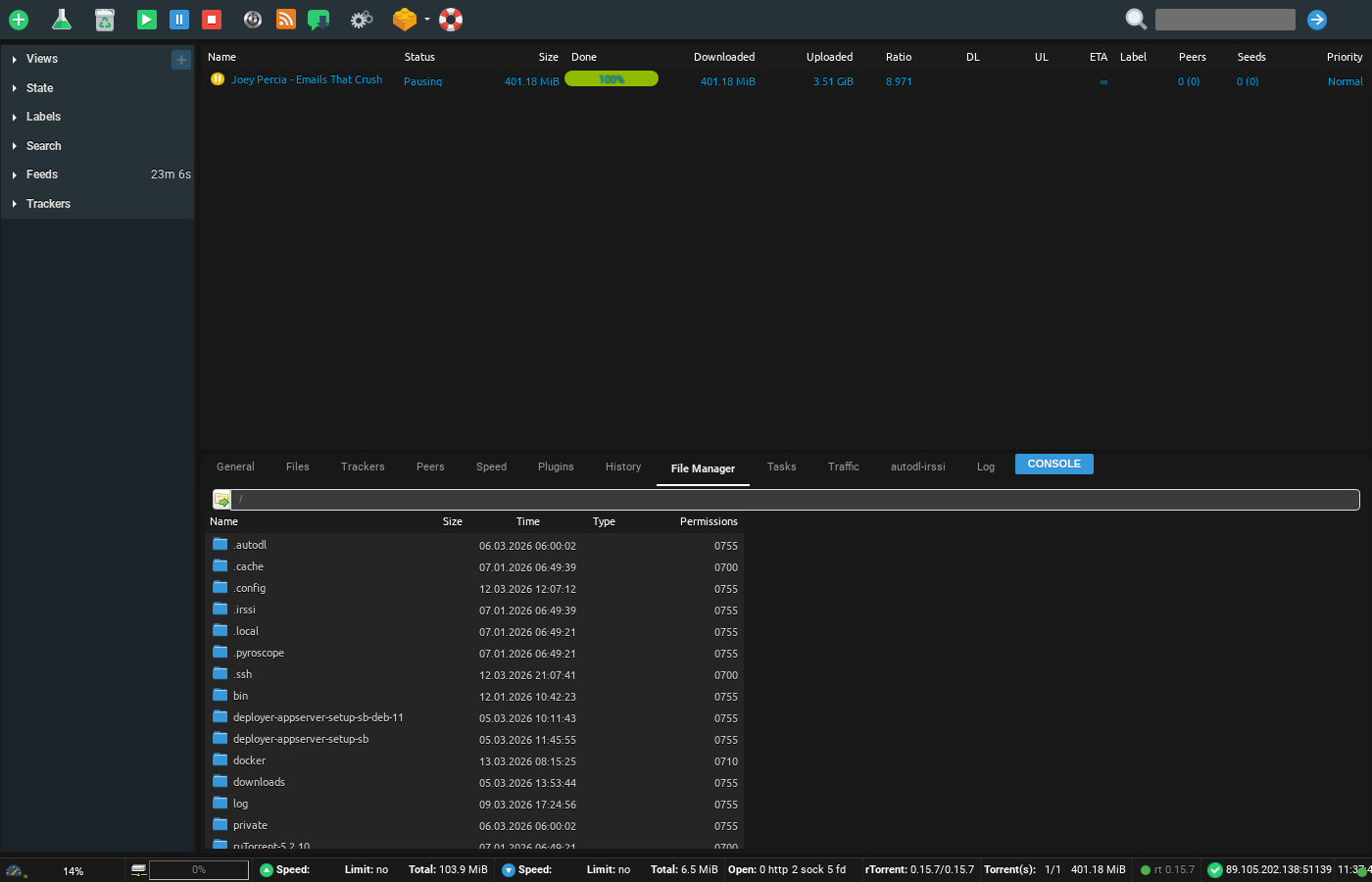Using Watch Folder for Large Torrents 1 Screenshot of ruTorrent File Manager showing seedbox directory structure with folders for downloads, docker, config, and private files
