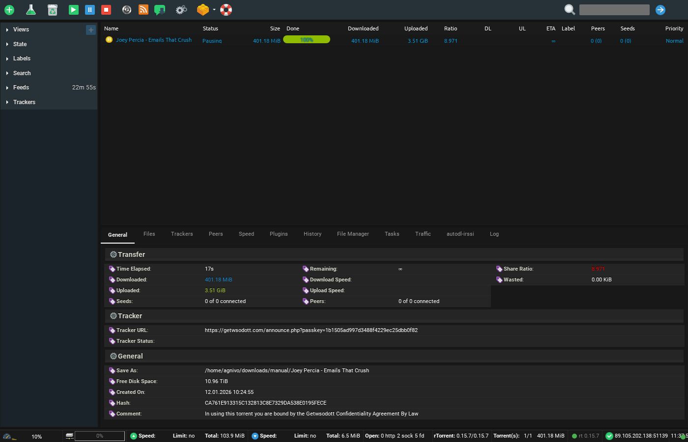 Common ruTorrent Errors and How to Fix Them 1 Screenshot of ruTorrent General tab showing torrent transfer stats including download speed, upload speed, share ratio, tracker URL, file path, and disk space
