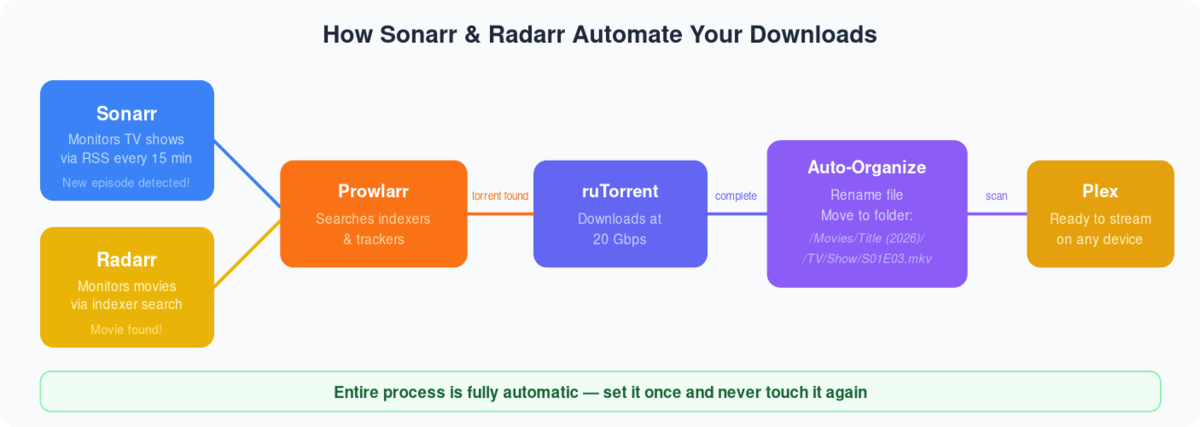Setting Up Sonarr on Your Seedbox 2 Diagram showing how Sonarr and Radarr automate downloads through Prowlarr and ruTorrent to Plex