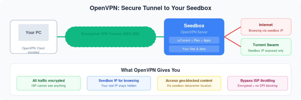 OpenVPN Connect Setup 1 Diagram showing encrypted OpenVPN tunnel between your PC and seedbox for secure browsing and torrenting