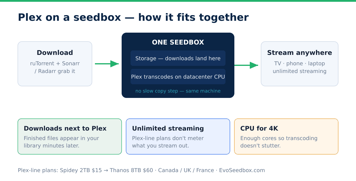 Best Seedbox for Plex: What to Look For (2026) 2 Diagram of Plex on a seedbox: downloads land on the same box that transcodes and streams to your devices