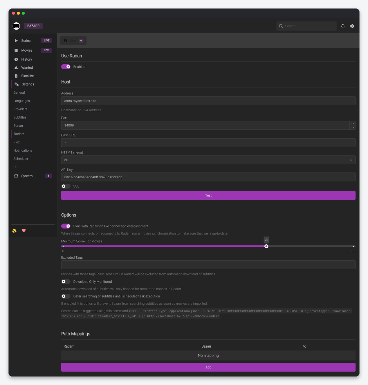 Bazarr Settings Explained: Scoring, Languages, Providers and Sync 6 Bazarr Radarr connection settings