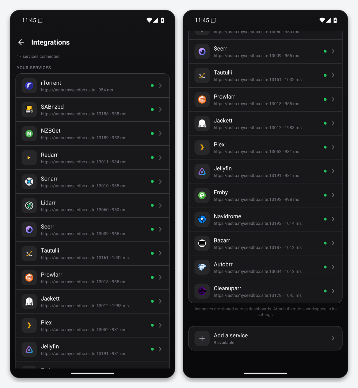 Dashboarr on a seedbox: the complete setup guide (Android & iOS) 6 Dashboarr Integrations list showing 17 connected seedbox services with response times