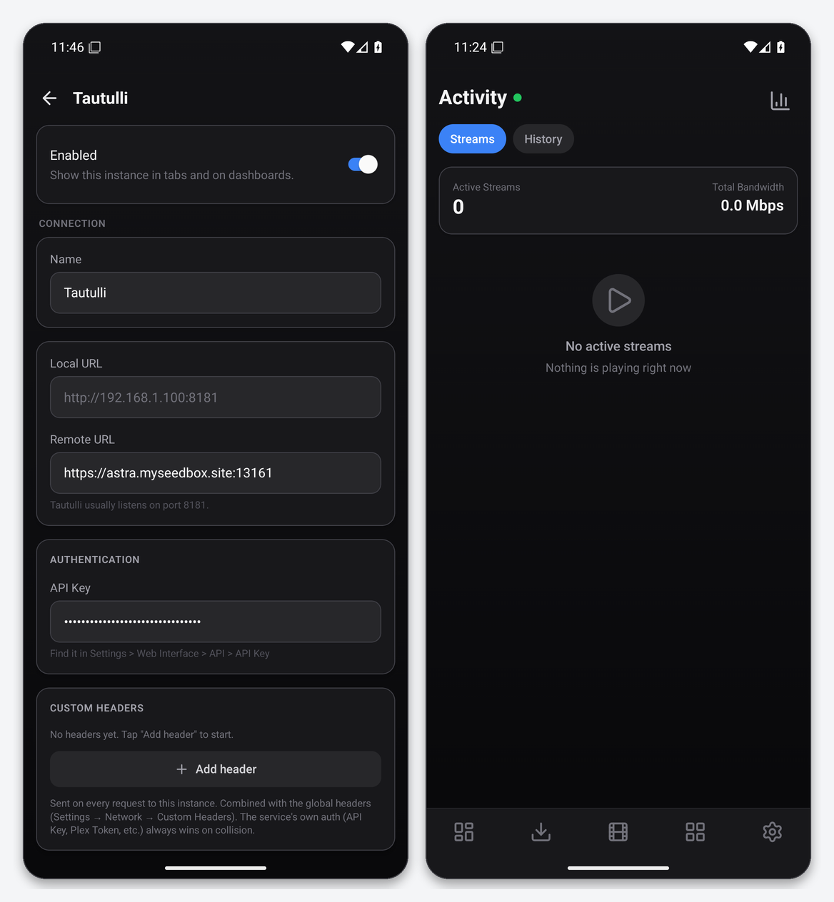 Connect Tautulli to Dashboarr 1 Dashboarr Tautulli editor with the seedbox URL and masked API key, and the Activity tab with active streams and total bandwidth