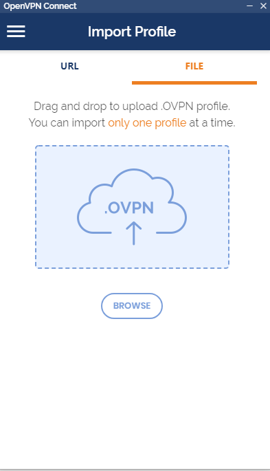 Open Vpn Connect