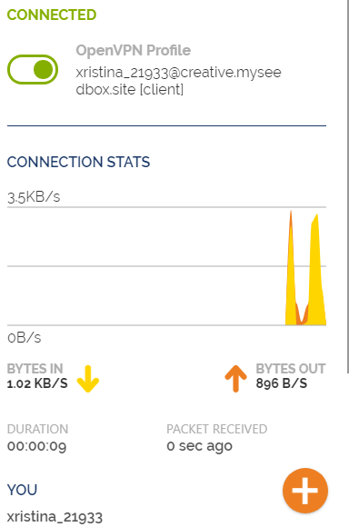 Open Vpn Connect