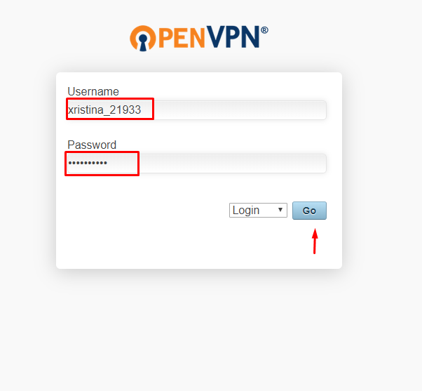 Open Vpn Connect