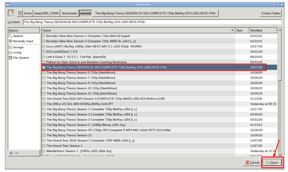 Filebot Renaming Files