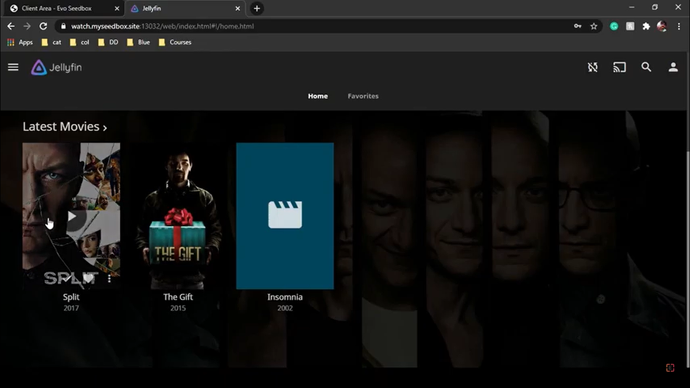 How To Connect Jellyfin With Your Seedbox