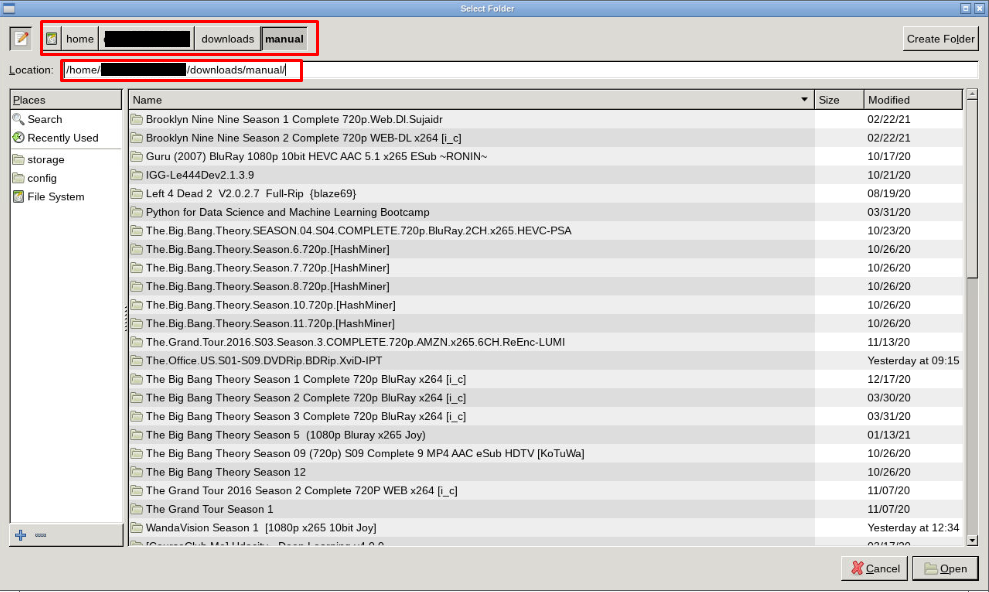Filebot Renaming Files