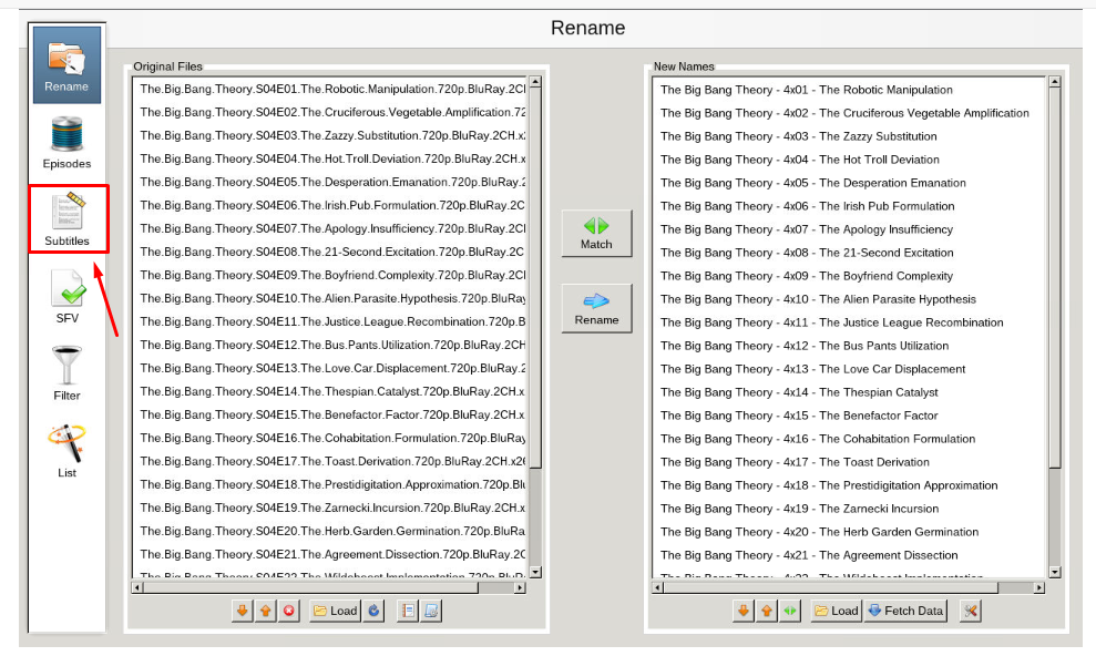 Filebot Renaming Files