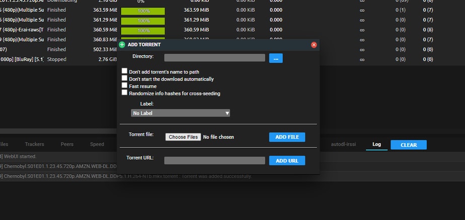 Adding a Torrent to Your Seedbox 2 Adding Torrent To Seedbox