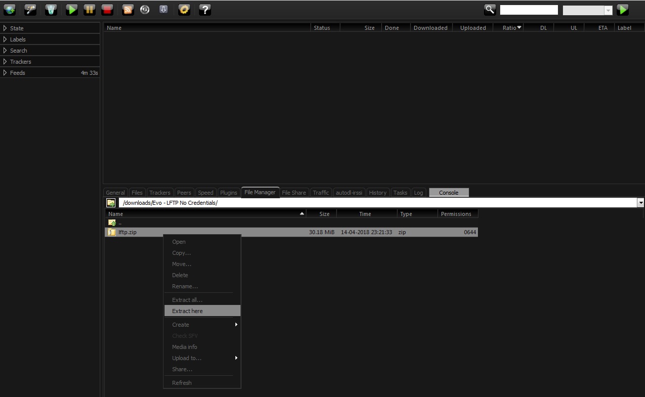 Extracting An Archive With Rutorrent