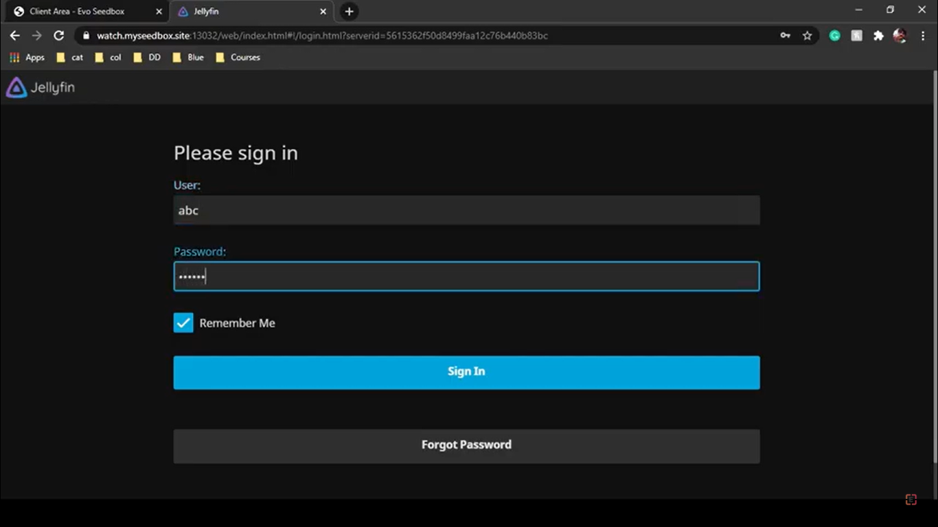 How To Connect Jellyfin With Your Seedbox